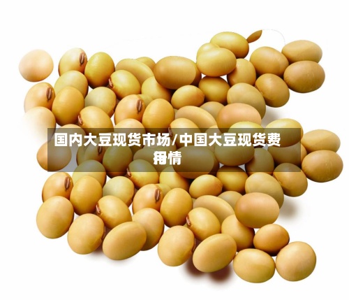 国内大豆现货市场/中国大豆现货费用
行情-第2张图片