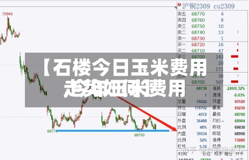 【石楼今日玉米费用,今年玉米费用走势如何】