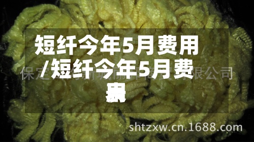 短纤今年5月费用/短纤今年5月费用表