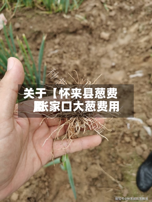 关于【怀来县葱费用,张家口大葱费用】