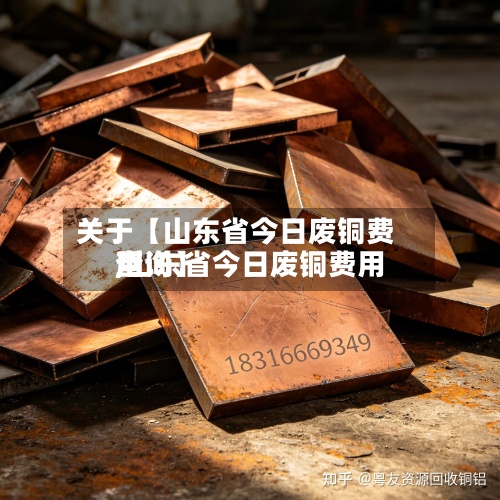 关于【山东省今日废铜费用,山东省今日废铜费用查询】