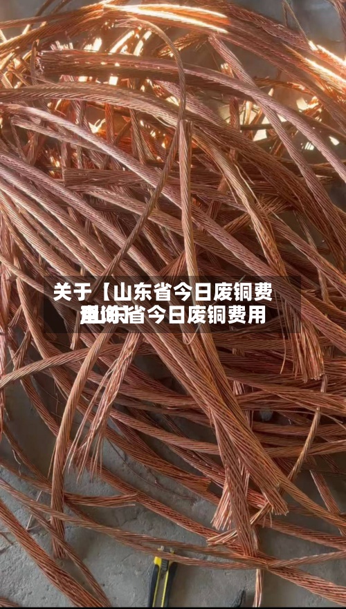 关于【山东省今日废铜费用
,山东省今日废铜费用
查询】-第3张图片