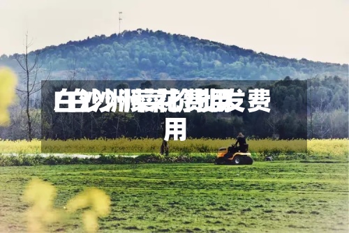 白沙洲菜花费用
/白沙洲菜价批发费用
-第2张图片