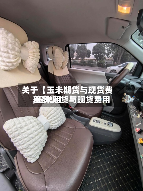 关于【玉米期货与现货费用,玉米期货与现货费用差多少】-第2张图片