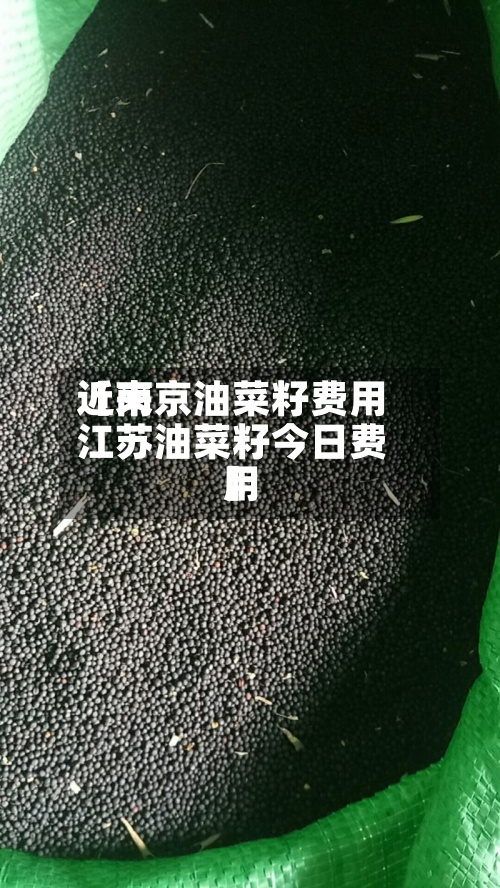 近来【南京油菜籽费用江苏油菜籽今日费用】