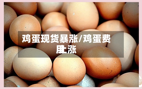 鸡蛋现货暴涨/鸡蛋费用 上涨