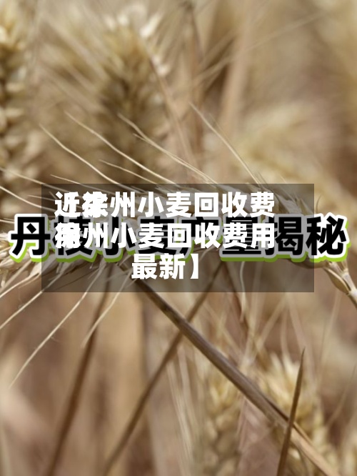 近来【徐州小麦回收费用徐州小麦回收费用最新】-第2张图片