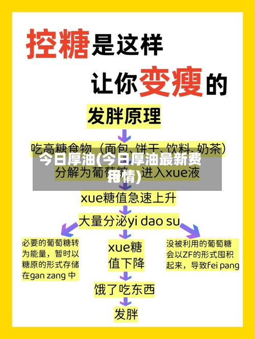 今日厚油(今日厚油最新费用
行情)-第3张图片