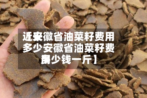 近来【安徽省油菜籽费用多少安徽省油菜籽费用多少钱一斤】