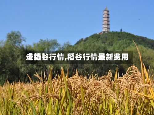 【稻谷行情,稻谷行情最新费用走势】