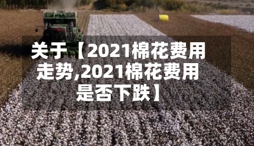 关于【2021棉花费用走势,2021棉花费用是否下跌】