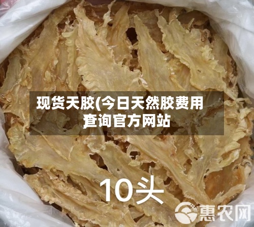 现货天胶(今日天然胶费用查询官方网站)