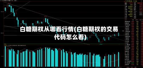白糖期权从哪看行情(白糖期权的交易代码怎么看)