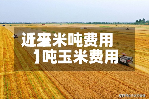 近来【玉米吨费用1吨玉米费用】