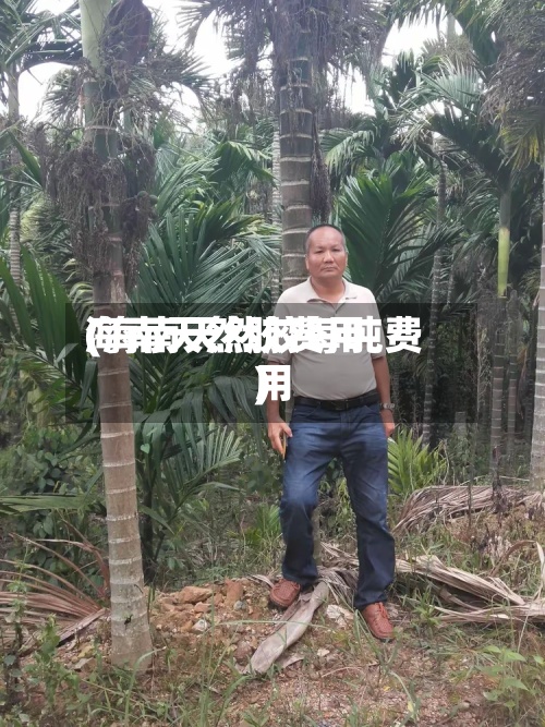 海南天然胶费用(海南天然胶每吨费用)