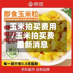 玉米拍买费用/玉米拍买费用最新消息-第2张图片