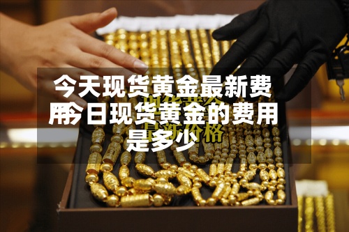 今天现货黄金最新费用/今日现货黄金的费用是多少