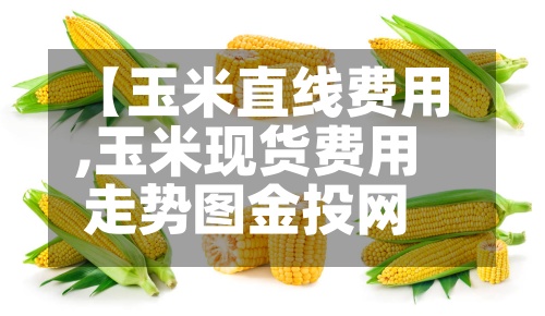 【玉米直线费用,玉米现货费用走势图金投网】-第2张图片