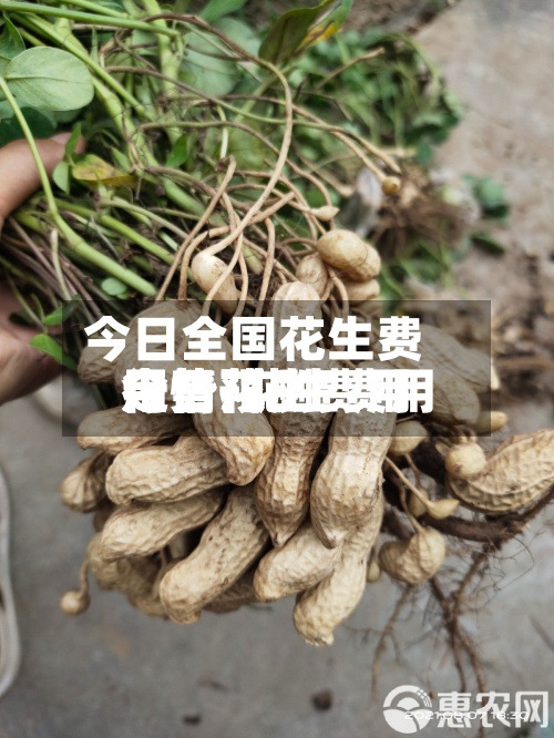 今日全国花生费用走势/花生费用今日花生费用行情预测