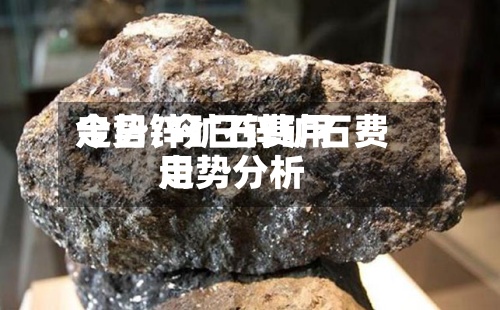 今日锌矿石费用走势/今日锌矿石费用走势分析-第2张图片