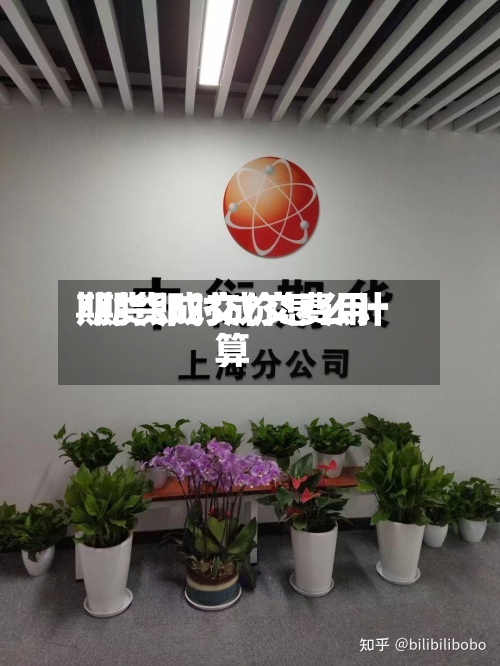 期货即时成交费用/期货成交价怎么计算