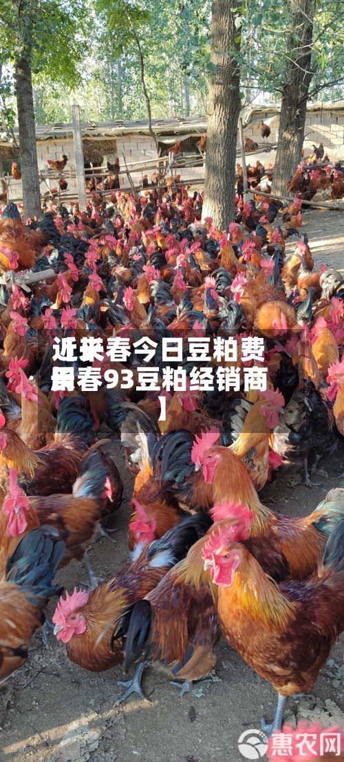 近来【长春今日豆粕费用长春93豆粕经销商】-第2张图片