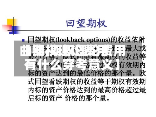 【期权理论费用曲线,期权理论费用有什么穿考意义】