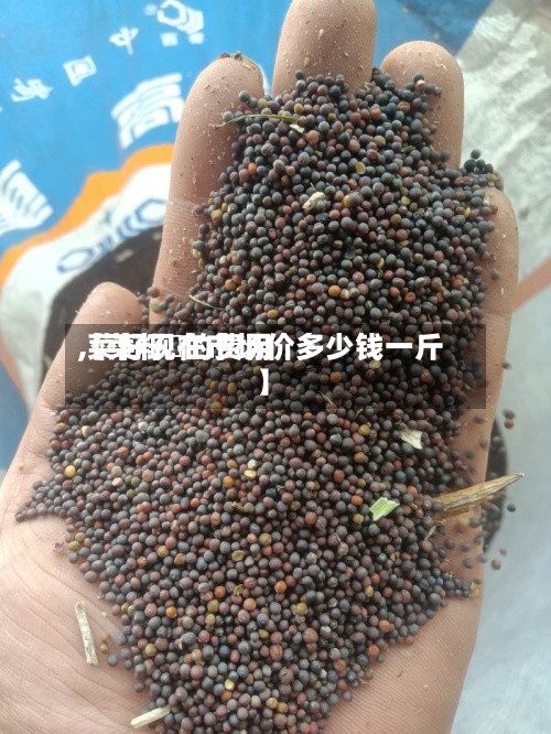 【菜籽粨的费用,菜籽现在市场价多少钱一斤】