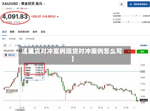 近来【现货对冲案例现货对冲案例怎么写】