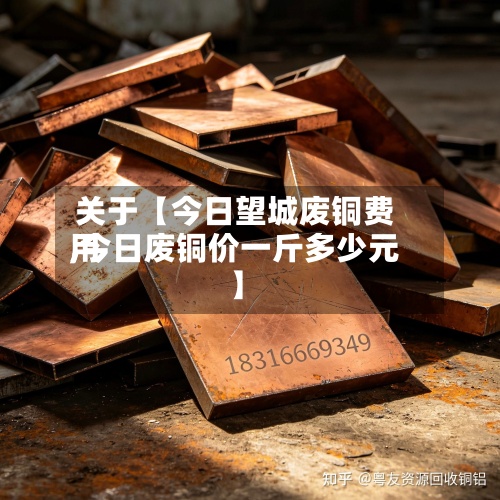 关于【今日望城废铜费用,今日废铜价一斤多少元】