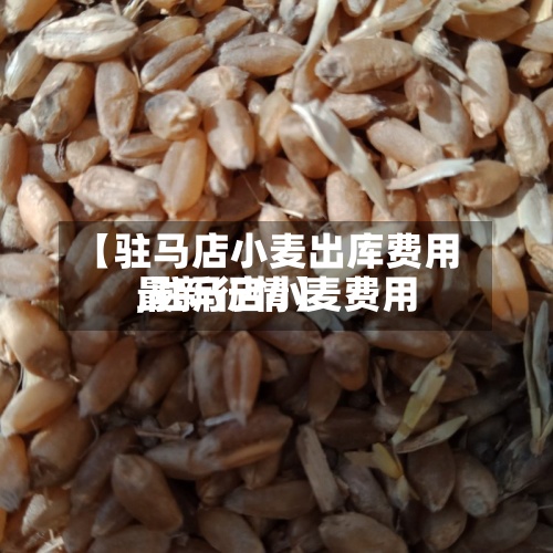 【驻马店小麦出库费用,驻马店小麦费用最新行情】-第2张图片