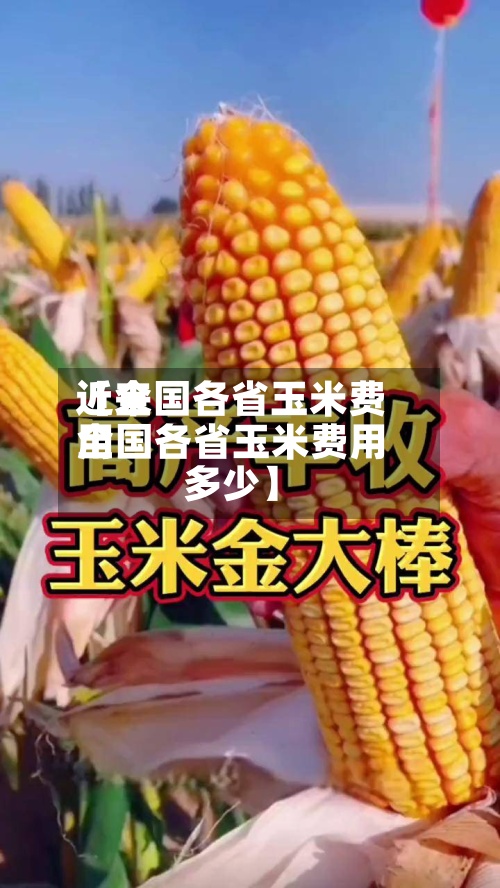 近来【全国各省玉米费用全国各省玉米费用多少】