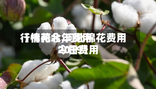 【棉花今年费用行情河北,河北棉花费用今日费用2019】