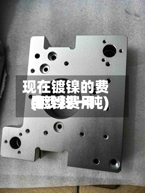 现在镀镍的费用(镀镍费用多少钱一吨)