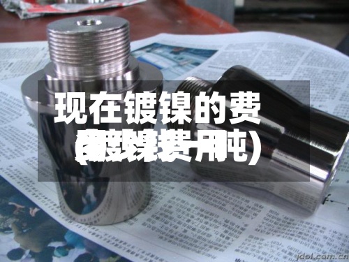 现在镀镍的费用
(镀镍费用
多少钱一吨)-第2张图片
