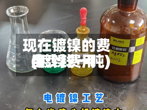现在镀镍的费用
(镀镍费用
多少钱一吨)-第3张图片