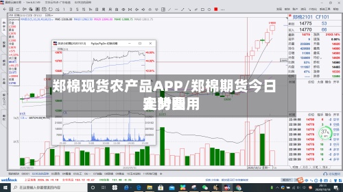 郑棉现货农产品APP/郑棉期货今日实时费用走势图