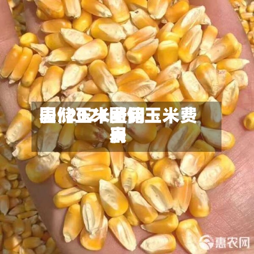 国储玉米费用表/2021国储玉米费用表-第2张图片