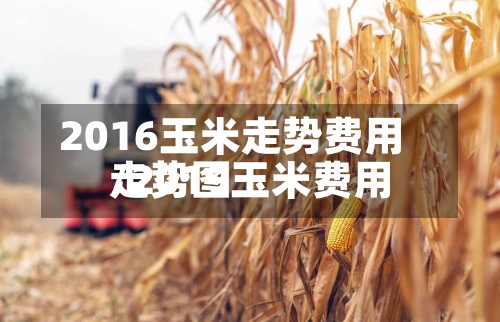 2016玉米走势费用/2019玉米费用走势图-第2张图片