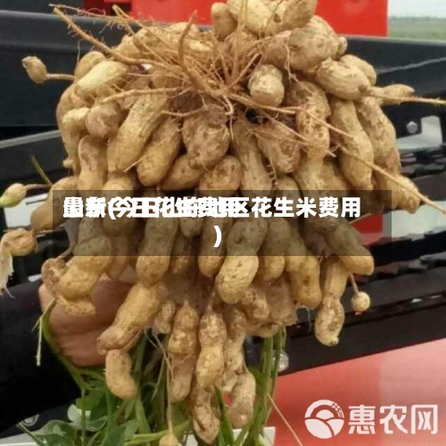 山东今日花生费用最新(今日山东地区花生米费用)