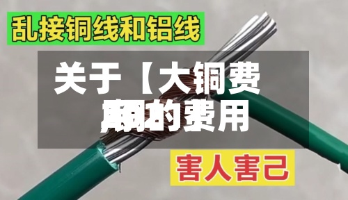 关于【大铜费用,铜的费用2021】