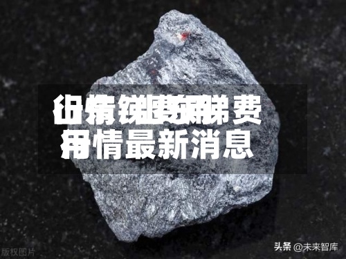 山东锑费用行情/山东锑费用行情最新消息