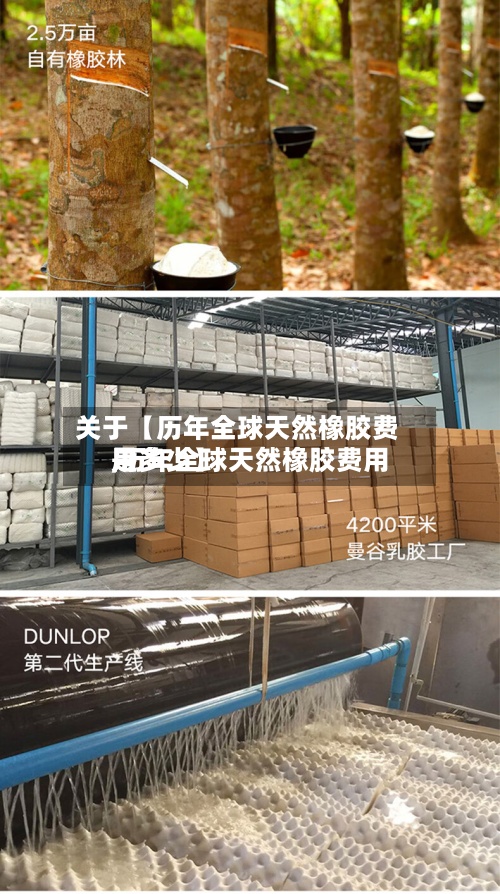 关于【历年全球天然橡胶费用,历年全球天然橡胶费用是多少】