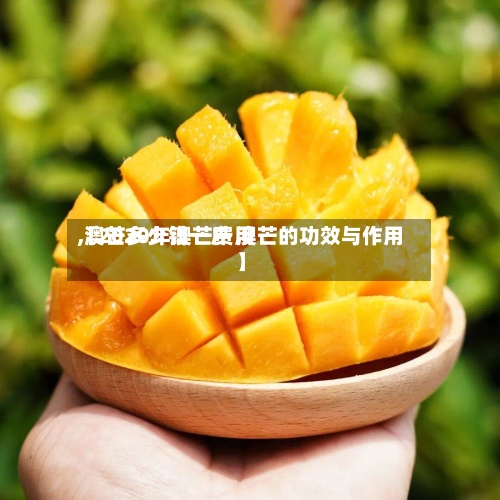 【2020年澳芒费用,澳芒多少钱一斤 澳芒的功效与作用】-第3张图片