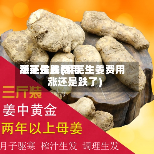 莱芜生姜费用涨还是跌(莱芜生姜费用涨还是跌了)