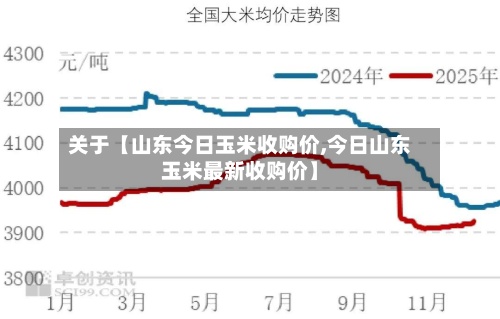 关于【山东今日玉米收购价,今日山东玉米最新收购价】-第3张图片