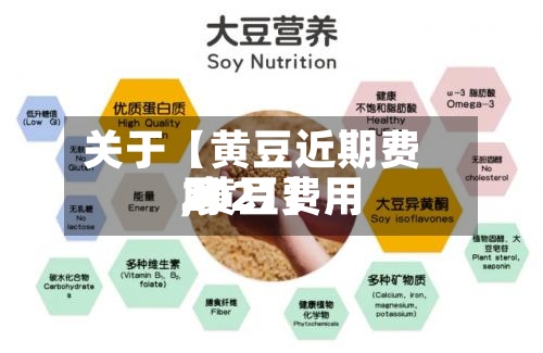 关于【黄豆近期费用,黄豆费用2021】-第2张图片