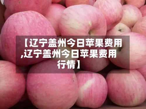 【辽宁盖州今日苹果费用
,辽宁盖州今日苹果费用
行情】-第2张图片