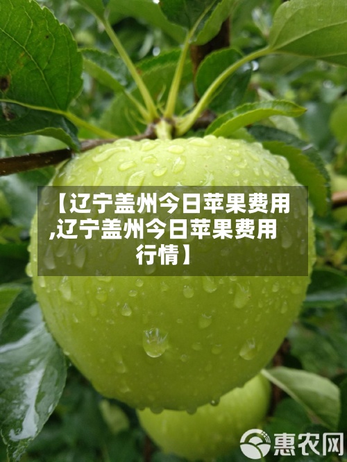 【辽宁盖州今日苹果费用
,辽宁盖州今日苹果费用
行情】-第3张图片
