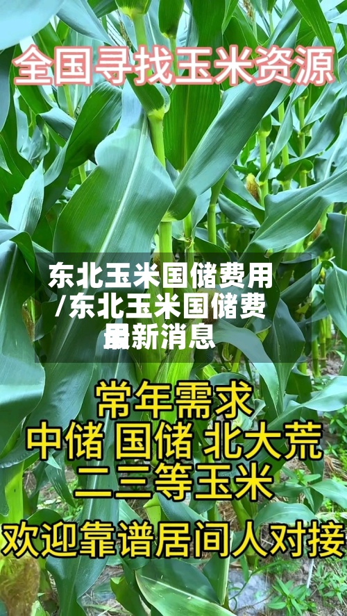 东北玉米国储费用/东北玉米国储费用最新消息